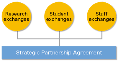Strategic Pertnership Agreement