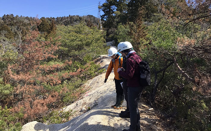 Field review