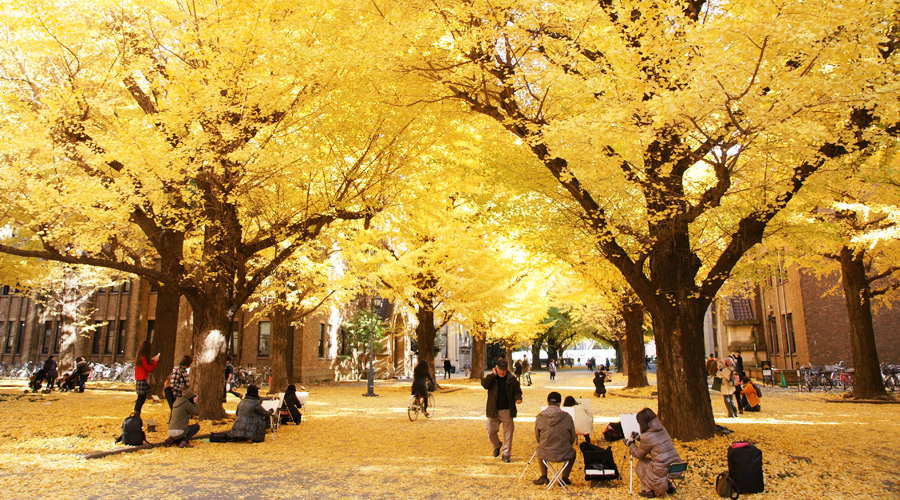The University of Tokyo - In Autumn