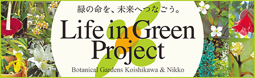Life in Green Project